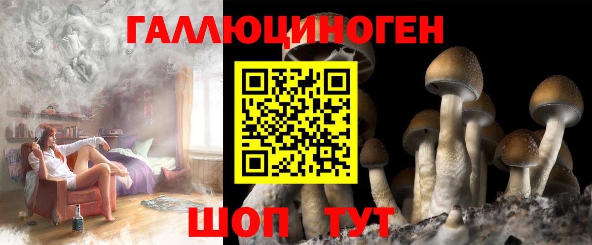 Тулун  Псилоцибиновые грибы GOLDEN TEACHER  Вход с VPN 